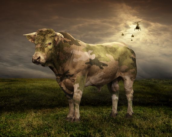 Photo Manipulation. Part II (64 pics)