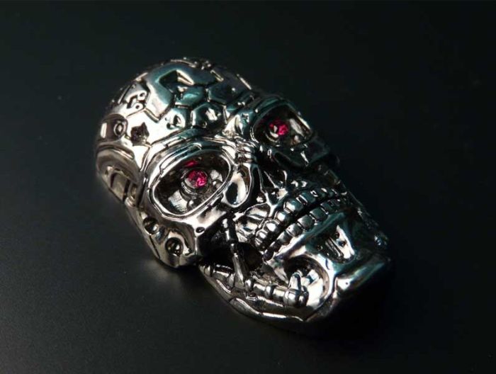 It is Terminator! (4 pics)