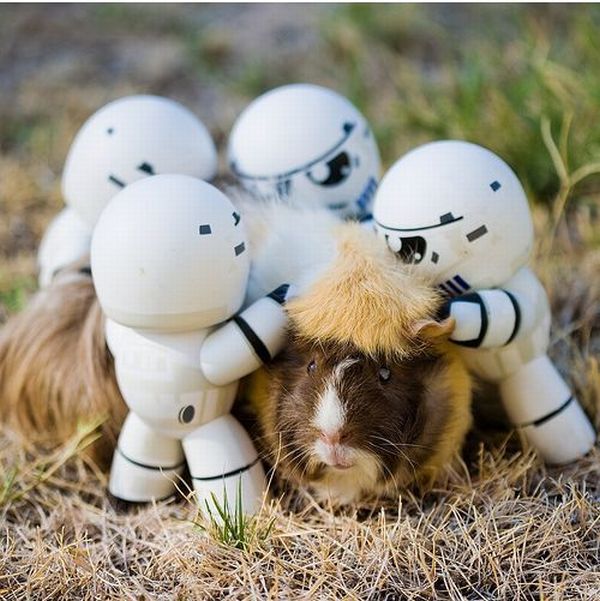 Acid Picdump (119 pics)