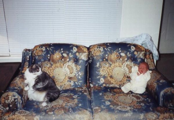 Acid Picdump (119 pics)
