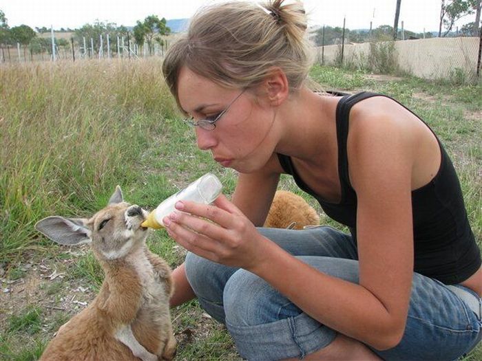 Acid Picdump (119 pics)
