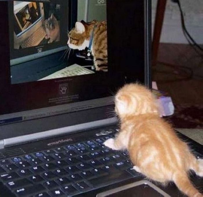 Acid Picdump (119 pics)