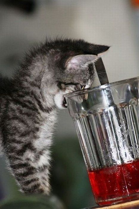 Acid Picdump (119 pics)