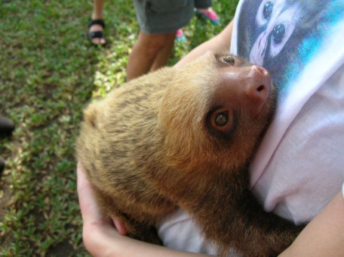 Acid Picdump (119 pics)
