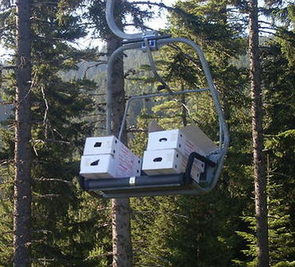 Acid Picdump (119 pics)