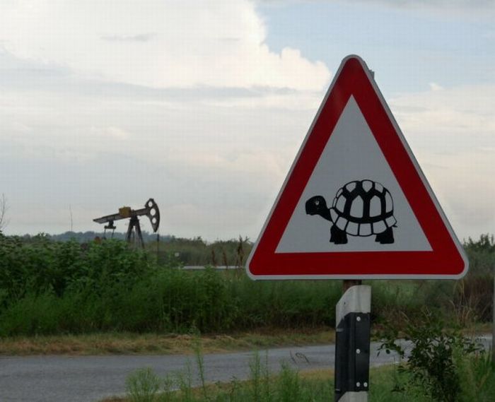 Acid Picdump (119 pics)