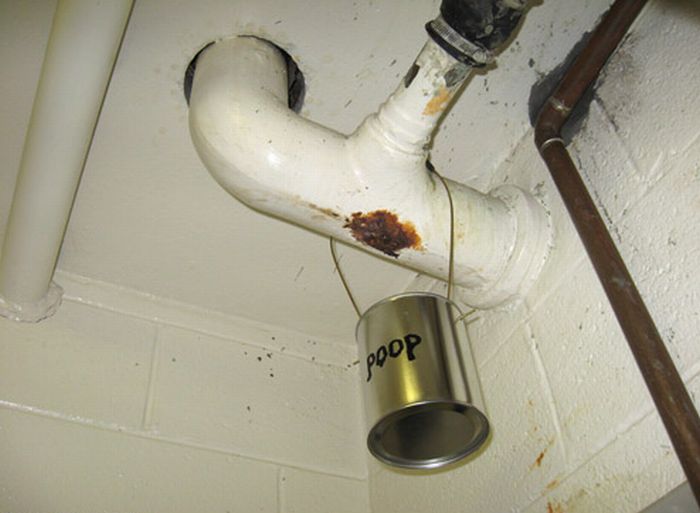 Acid Picdump (119 pics)