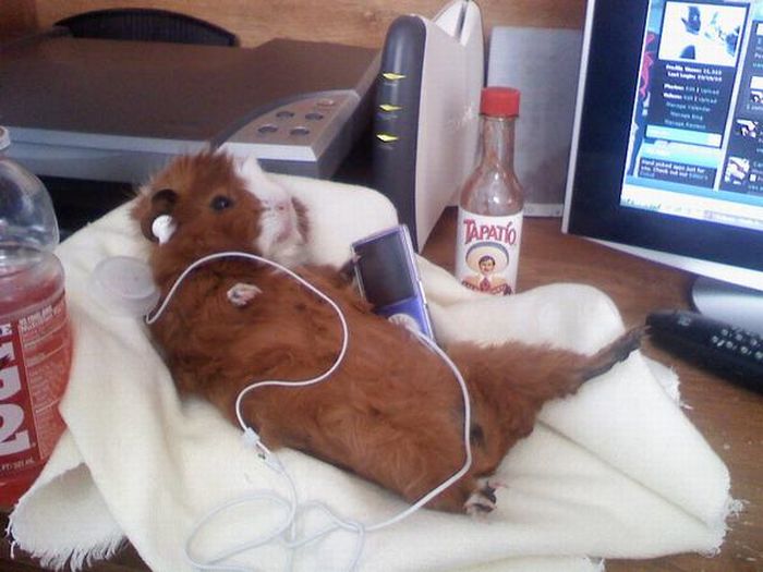 Acid Picdump (119 pics)