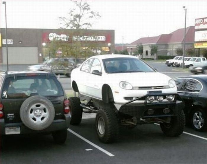 Acid Picdump (119 pics)