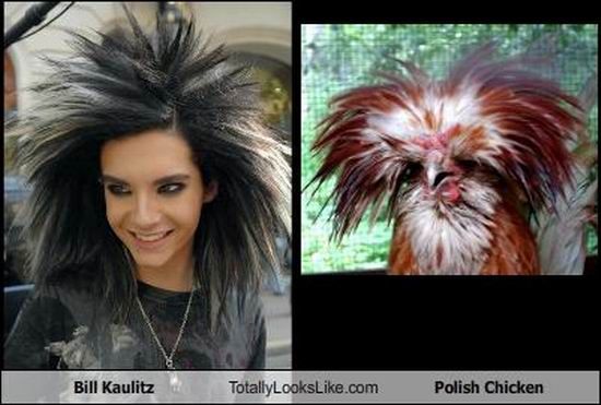 Totally Looks Like (95 pics)