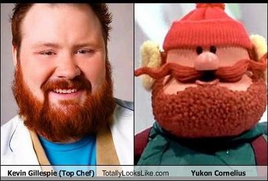 Totally Looks Like (95 pics)