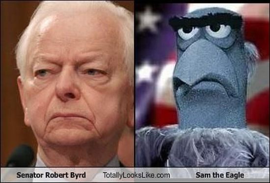 Totally Looks Like (95 pics)