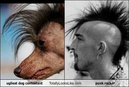 Totally Looks Like (95 pics)