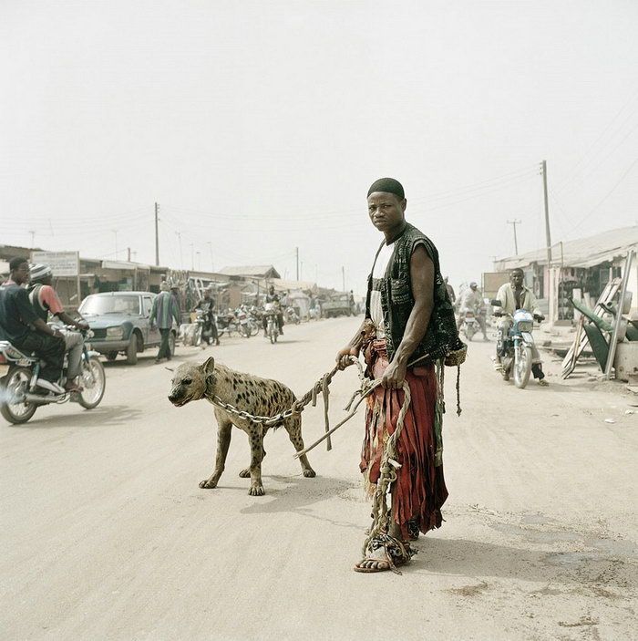 African Pets (14 pics)