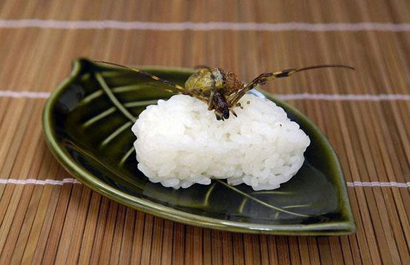 Weird Japanese Food (10 pics)