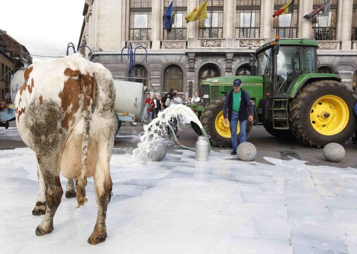 Milk strike in Belgium (6 pics)