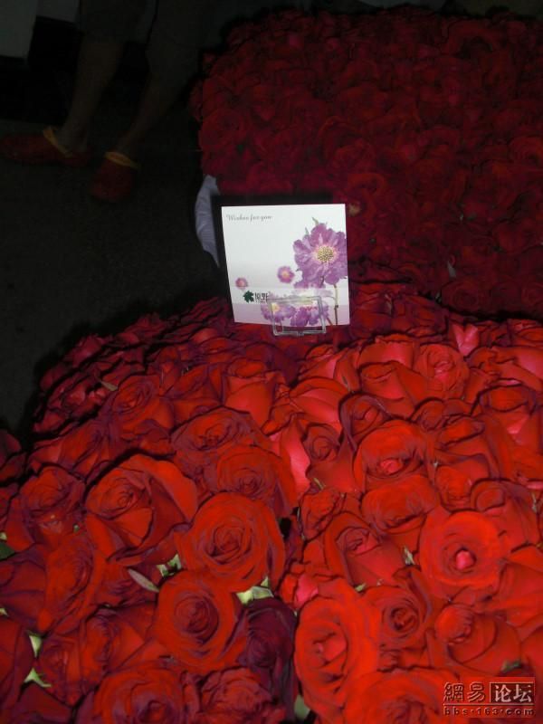 10 thousand roses (8 pics)