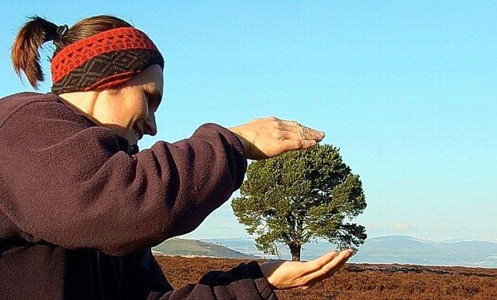 Playing with perspective (19 pics)