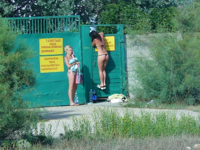 Acid picdump (96 pics)