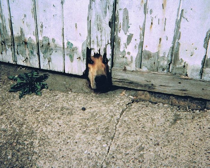 Acid picdump (96 pics)