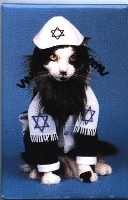 Acid picdump (96 pics)