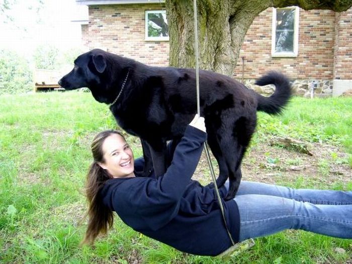 Acid picdump (96 pics)
