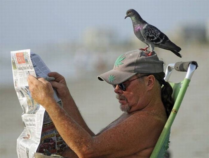 Acid picdump (96 pics)