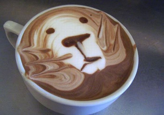 Acid picdump (96 pics)