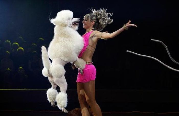 Acid picdump (96 pics)