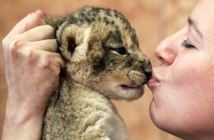Kisses can be different (33 pics)