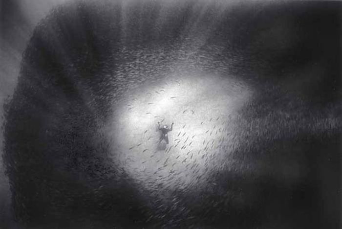 Black And White Underwater Photography By Wayne Levin (36 pics)