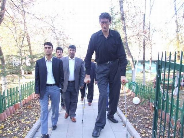 Sultan Kosen - world's tallest man (26 pics)