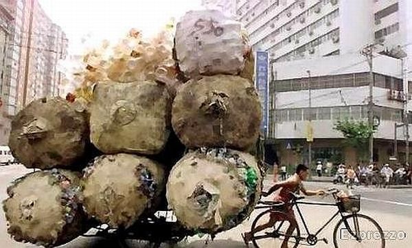 Overloaded Bicycles (10 pics)