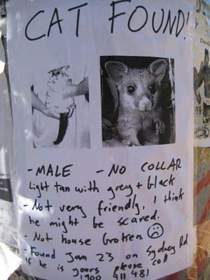 The Best of Lost And Found Signs (25 pics)