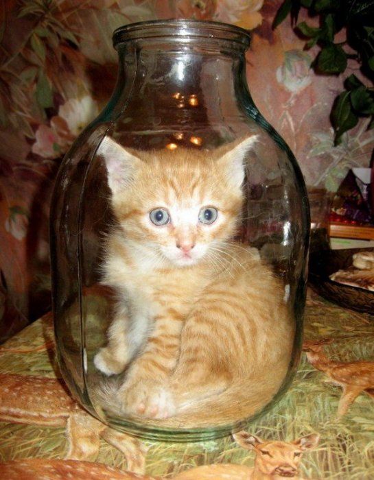 Acid Picdump (107 pics)