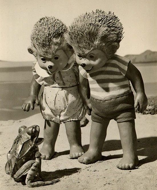 Acid Picdump (107 pics)