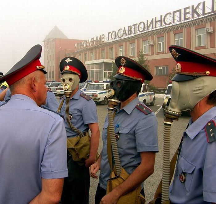 Acid Picdump (107 pics)