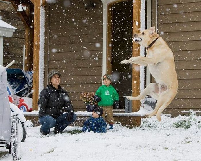 Acid Picdump (107 pics)