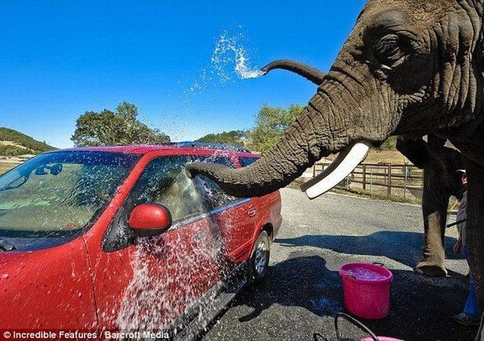 Acid Picdump (107 pics)