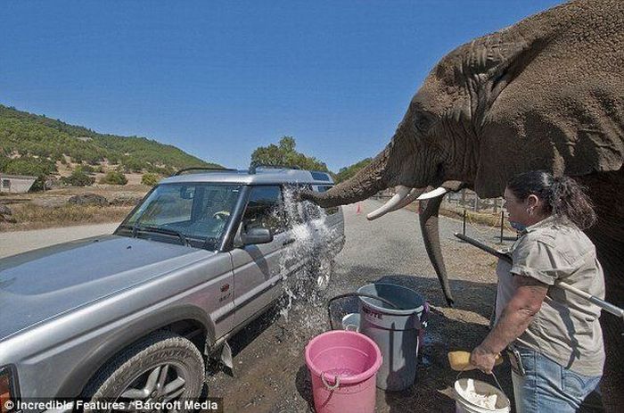 Acid Picdump (107 pics)