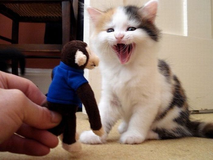 Acid picdump (139 pics)