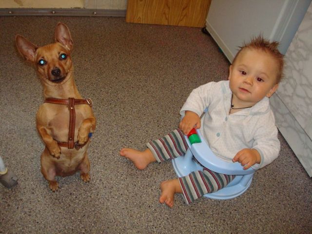 Acid picdump (139 pics)