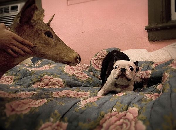 Acid picdump (139 pics)