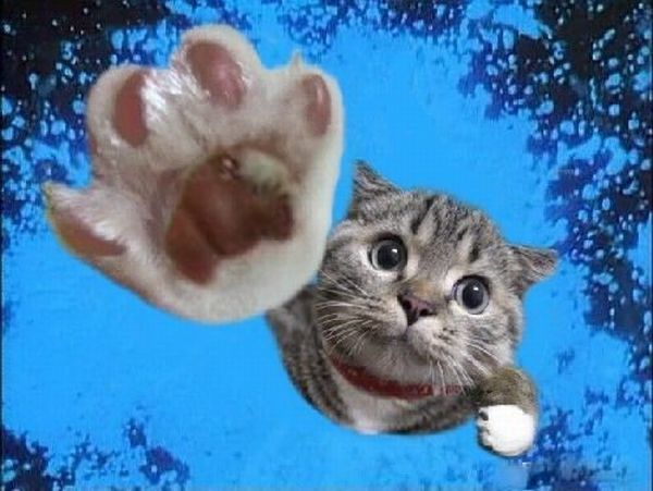 Acid picdump (139 pics)