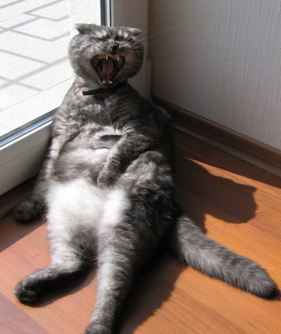 Acid picdump (139 pics)
