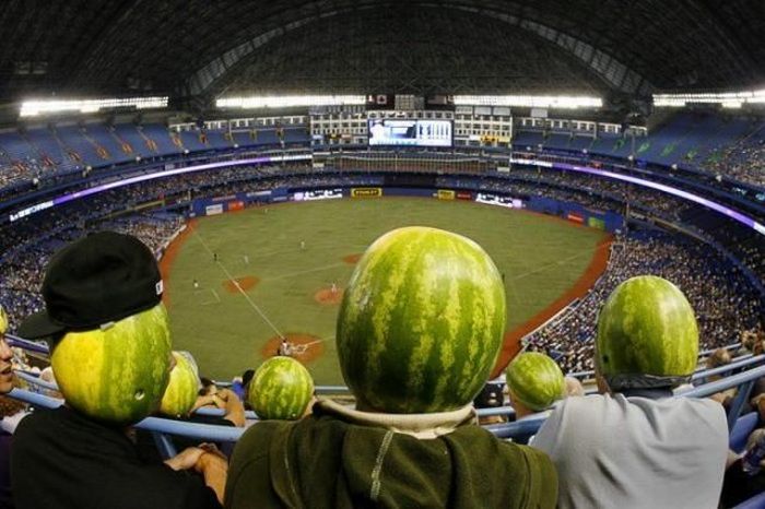 Best Sport Photos Of 2009 (58 pics)