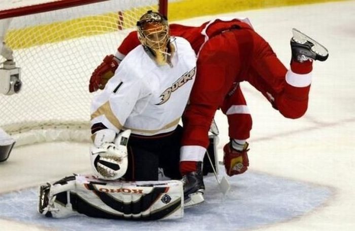 Best Sport Photos Of 2009 (58 pics)
