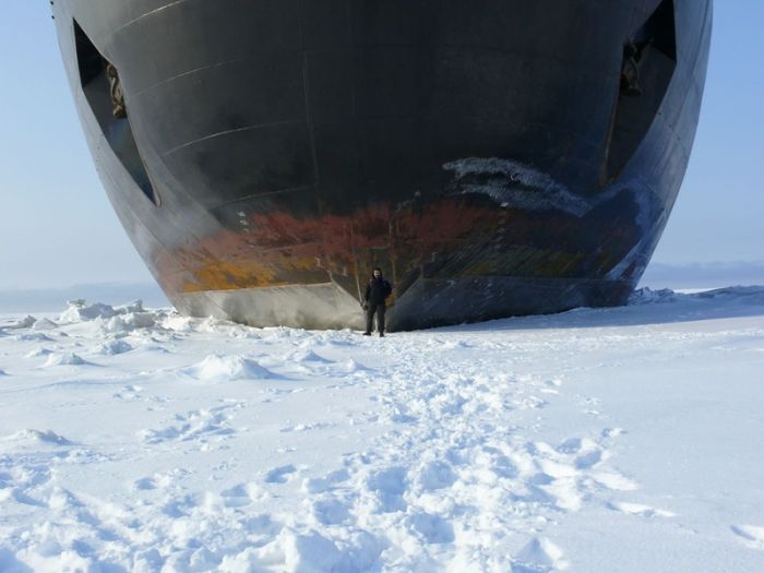 Working in Arctic (50 pics)