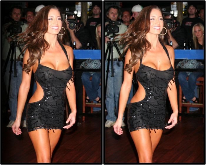 Miss Bikini USA 2008 in 3D (25 pics)