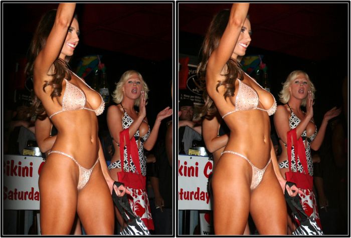 Miss Bikini USA 2008 in 3D (25 pics)